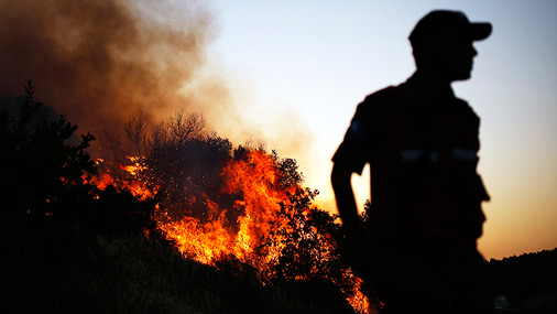В Латвии продолжаются пожары в лесах