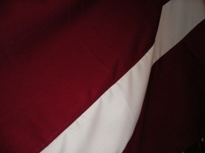 На столетие Латвии хотят создать новый государственный символ