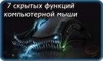 Комьютерный грызун: всё ли мы о нём знаем?