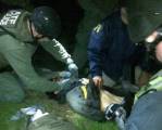 Видеозапись захвата подозреваемого террориста Джохара Царнаева