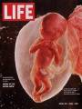 История жизни журнала LIFE и Джорджа Стори
